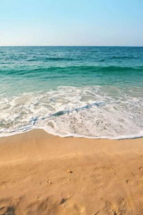 沙滩与海洋：无尽的夏日魅力