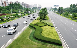 驾考必备：城市道路与乡村道路速度掌控技巧
