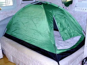 冬日里的温暖守护者：室内保暖帐篷