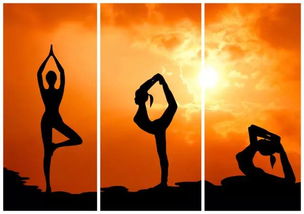 季节性养生瑜伽动作有哪些，动作，让你健康度过每一个季节