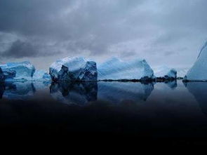 南极考察纪录片，一片未知世界的探索之旅