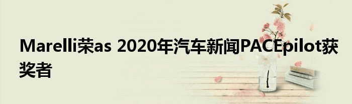 Marelli荣as 2020年汽车新闻PACEpilot获奖者