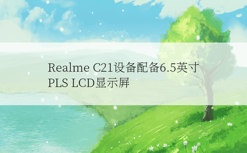 Realme C21设备配备6.5英寸PLS LCD显示屏