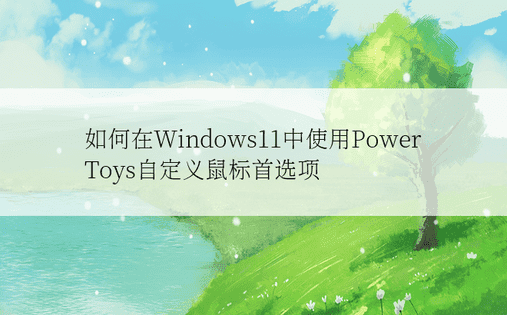 如何在Windows11中使用PowerToys自定义鼠标首选项