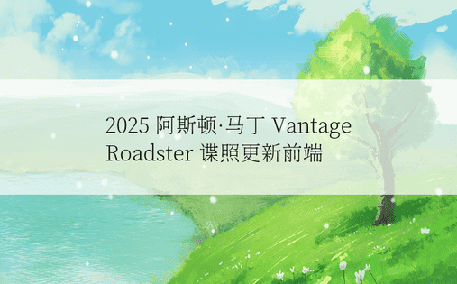 2025 阿斯顿·马丁 Vantage Roadster 谍照更新前端