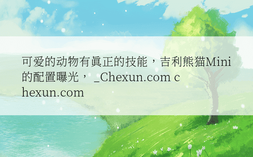 可爱的动物有真正的技能，吉利熊猫Mini的配置曝光， _Chexun.com chexun.com