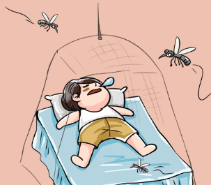家里有大蚊子怎么办
