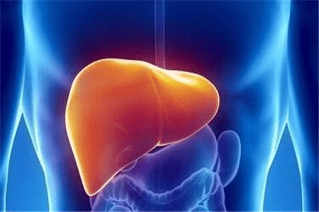 脂肪肝有哪些症状？注意身体的四大表现