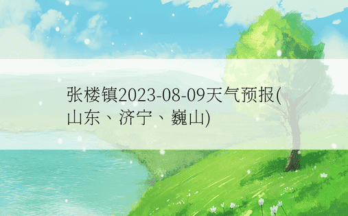 张楼镇2023-08-09天气预报(山东、济宁、巍山)