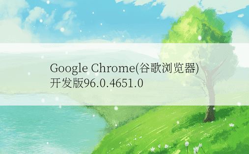 Google Chrome(谷歌浏览器)开发版96.0.4651.0