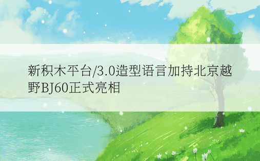 新积木平台/3.0造型语言加持北京越野BJ60正式亮相