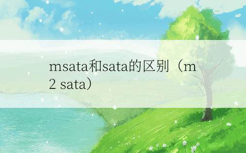 msata和sata的区别（m 2 sata）
