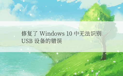 修复了 Windows 10 中无法识别 USB 设备的错误 