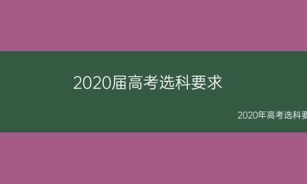 2020届高考选科要求_2020年高考选科要求