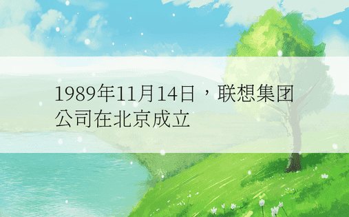 1989年11月14日，联想集团公司在北京成立