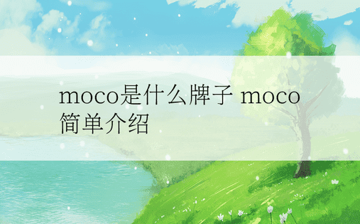 moco是什么牌子 moco简单介绍