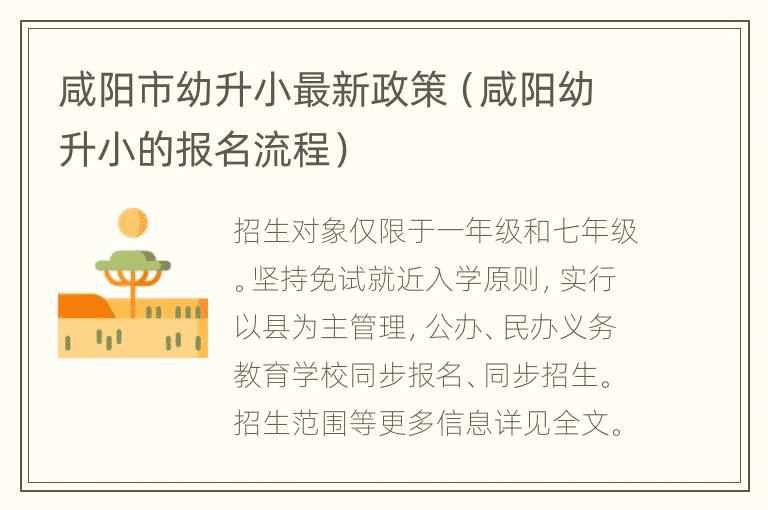 咸阳市幼儿园升小学最新政策（咸阳幼儿园升小学注册流程）