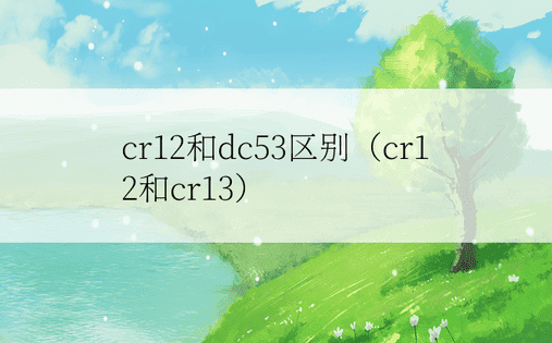 cr12和dc53区别（cr12和cr13）
