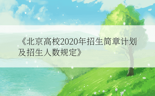 《北京高校2020年招生简章计划及招生人数规定》