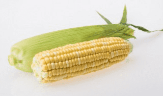 玉米的原产地在哪里 玉米的原产地是哪?