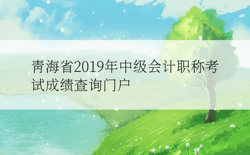 青海省2019年中级会计职称考试成绩查询门户