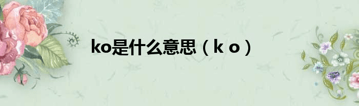 ko是什么意思(k o)