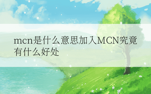 mcn是什么意思加入MCN究竟有什么好处