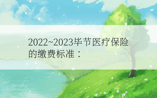 2022~2023毕节医疗保险的缴费标准：