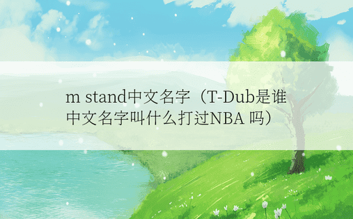 m stand中文名字（T-Dub是谁 中文名字叫什么打过NBA 吗）