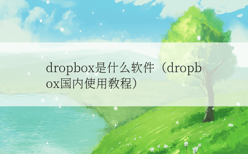 dropbox是什么软件（dropbox国内使用教程） 