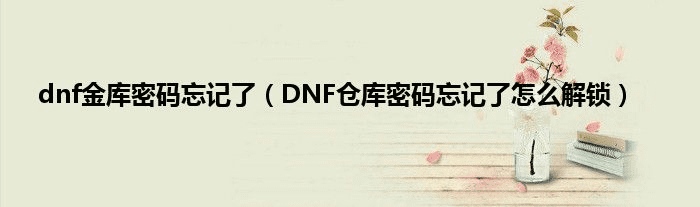 dnf金库密码忘记了（DNF仓库密码忘记了怎么解锁）